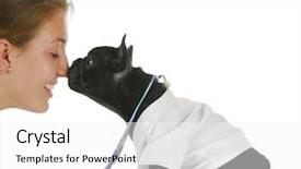  Presentation with patient care - Slide set having white jasmine flower the branch delicate spring flowers red tulip background and a light blue colored foreground