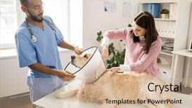  Presentation with funnel - Slides with helping to fix protective funnel background and a soft green colored foreground