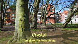  Presentation with lichen - 