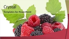  Presentation with blackberry - Cool new PPT layouts with helthy - blackberry dewberry with raspberry isolated backdrop and a  colored foreground