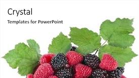 Presentation with frozen foods raspberry blueberry cranberry - Theme featuring helthy - blackberry dewberry with raspberry isolated background and a white colored foreground