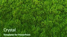  Presentation with abstract - Audience pleasing theme consisting of densitry - evergreen conifer abstract background backdrop and a forest green colored foreground