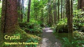  Presentation with british columbia - Theme enhanced with hemlock - rain forest in vancouver island background and a tawny brown colored foreground