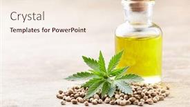  Presentation with oil seeds - Amazing PPT layouts having hemp-oil-with-seeds backdrop and a sky blue colored foreground