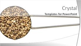  Presentation with hemp - Colorful PPT theme enhanced with hemp-seeds-on-metal-measuring backdrop and a white colored foreground
