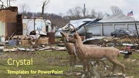  Presentation with deaths - 