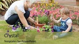  Presentation with blooming flower animated - Amazing theme having her daughter a purple flower backdrop and a yellow colored foreground