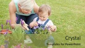  Presentation with blooming flower animated - PPT theme having her daughter a purple flower background and a yellow colored foreground