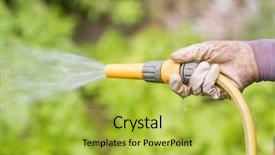  Presentation with flower woman - Slide deck consisting of her flower bed at home background and a  colored foreground