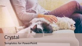  Presentation with pets - Amazing PPT theme having her pets little dog backdrop and a soft green colored foreground