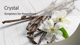  Presentation with vanilla - Theme featuring herb extract - dried vanilla sticks and flowers background and a light gray colored foreground