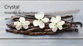  Presentation with vanilla - Beautiful PPT theme featuring herb extract - dried vanilla sticks and flowers backdrop and a light gray colored foreground
