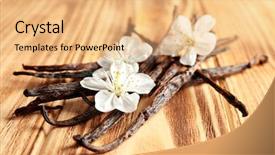  Presentation with vanilla - Cool new presentation with herb extract - dried vanilla sticks and flowers backdrop and a coral colored foreground