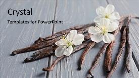  Presentation with vanilla - Cool new PPT theme with herb extract - dried vanilla sticks and flowers backdrop and a light gray colored foreground