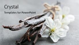  Presentation with vanilla - Colorful slides enhanced with herb extract - dried vanilla sticks and flowers backdrop and a light gray colored foreground