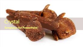  Presentation with octopus on isolated white - Beautiful PPT theme featuring herb free herbal - spice cloves isolated on white backdrop and a  colored foreground