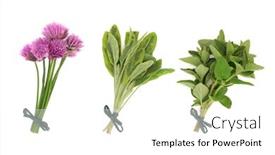  Presentation with oregano - PPT theme consisting of herb leaf selection of chives sage and oregano tied in bunches isolated over white background background and a white colored foreground