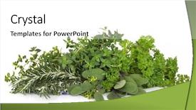  Presentation with thyme - Audience pleasing presentation theme consisting of herb leaf selection of parsley backdrop and a white colored foreground
