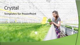  Presentation with nursery plant - Presentation theme consisting of herb seedlings in plant nursery background and a white colored foreground