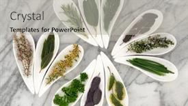  Presentation with sage - Slide deck featuring herb selection of varieties of sage thyme fennel chives mint rosemary parsley and bay leaf sprigs in white porcelain dishes on a mottled marble background background and a light gray colored foreground