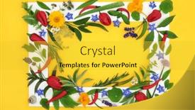  Presentation with edible flower - Presentation consisting of herb-spice-and-edible-flower background and a  colored foreground