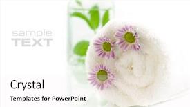  Presentation with leaves - Audience pleasing slide set consisting of herbal alternative therapies - towel flowers and jar backdrop and a white colored foreground