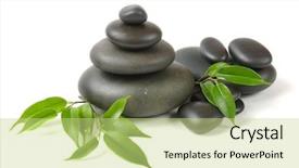  Presentation with spirituality zen meditation stone - Slide deck consisting of herbal alternative therapies - zen stones and branch background and a  colored foreground