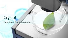  Presentation with herbal - Slide set consisting of herbal analysis - green leaf in microscope close-up background and a cool aqua colored foreground