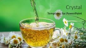  Presentation with chamomile - Audience pleasing slide deck consisting of herbal-chamomile-tea-and-chamomile backdrop and a seafoam green colored foreground