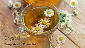  Presentation with chamomile - Colorful theme enhanced with herbal-chamomile-tea-and-chamomile backdrop and a gold colored foreground