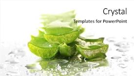  Presentation with herbal cosmetics - Amazing PPT layouts having dessert with sprinkles on stick white and light blue glaze fresh and tasty cake pop candy for a kid backdrop and a light gray colored foreground