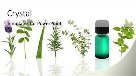  Presentation with aromatherapy rosemary essential oil - Slides having old street wall with immured door and windows in winter background and a gray colored foreground