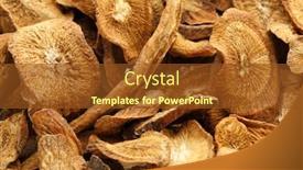  Presentation with root - Amazing presentation design having herbal-dry-burdock-root backdrop and a tawny brown colored foreground