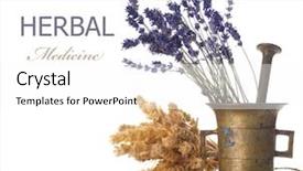  Presentation with herbal medicine - Audience pleasing PPT theme consisting of herbal medicine concept backdrop and a white colored foreground