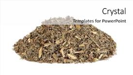  Presentation with alternative medicine - Cool new PPT layouts with herbal medicine to treat anorexia backdrop and a white colored foreground