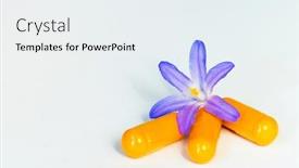  Presentation with herbal medicine flowers - Audience pleasing PPT layouts consisting of herbal-medicine-yellow-curcumin-dietary backdrop and a white colored foreground