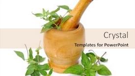  Presentation with herbal medicine - Audience pleasing theme consisting of herbal medicine backdrop and a yellow colored foreground