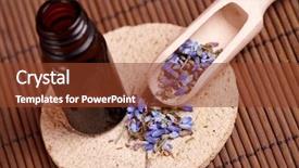  Presentation with difference lavender - Slides with herbal remedies - dried caledula lavender petals background and a  colored foreground