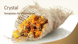  Presentation with white flowers - PPT theme enhanced with herbal remedies - dried calendula flowers in sacking background and a lemonade colored foreground