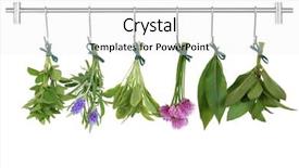  Presentation with oregano - Beautiful presentation featuring herbal remedies - herb leaf and flower sprigs backdrop and a white colored foreground