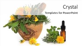  Presentation with aromatherapy rosemary essential oil - Slides consisting of herbal remedies - wild dandelion and gorse flowers background and a white colored foreground