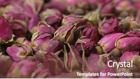  Presentation with herbal - Slide deck featuring herbal rose tea background and a tawny brown colored foreground