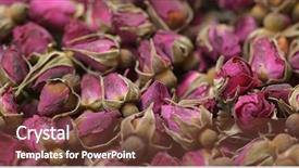  Presentation with herbal - PPT layouts enhanced with herbal rose tea background and a tawny brown colored foreground