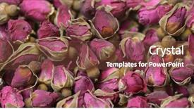  Presentation with herbal medicine healing herbs mortar - Slide deck enhanced with herbal rose tea background and a tawny brown colored foreground