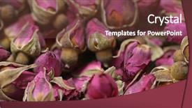  Presentation with herbal - Amazing PPT theme having herbal rose tea backdrop and a tawny brown colored foreground