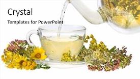  Presentation with tea plant - Amazing slide deck having herbal tea and fresh herb backdrop and a white colored foreground