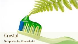  Presentation with tooth paste - Beautiful presentation featuring herbal tooth paste backdrop and a soft green colored foreground