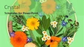  Presentation with healthy food - Presentation theme consisting of herbs-and-edible-flowers-healthy background and a seafoam green colored foreground