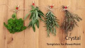  Presentation with sage - Slide deck with herbs hanging and drying of parsley sage rosemary and thyme on string line with ladybird pegs over oak wood background background and a coral colored foreground