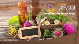  Presentation with herbal medicine healing herbs mortar - Cool new PPT theme with herbs in mortar on wooden backdrop and a coral colored foreground